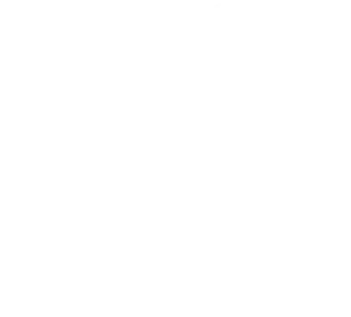 icon-health
