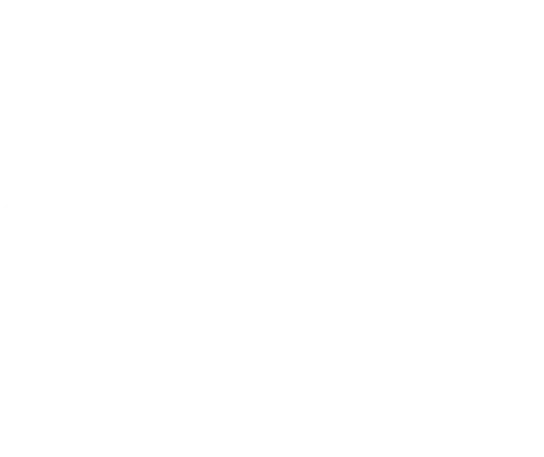 icon-smart home