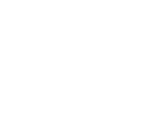 icon-telecom